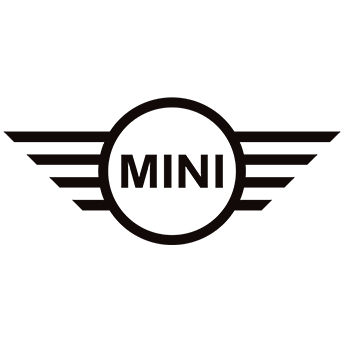 MINI used car inspection Houston — mobile pre purchase third party inspection service