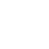 eBay Motors certified vehicle inspection service partner — Texas First Auto Inspections Houston