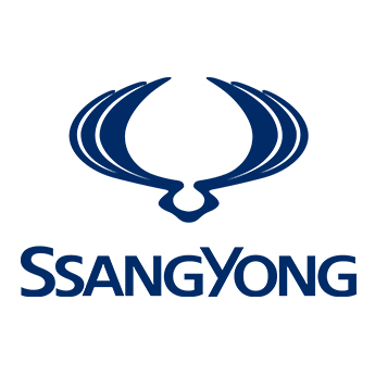 ssangyong used car inspection Houston — mobile pre purchase third party inspection service