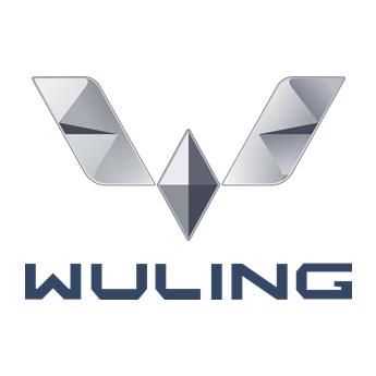 wuling used car inspection Houston — mobile pre purchase third party inspection service
